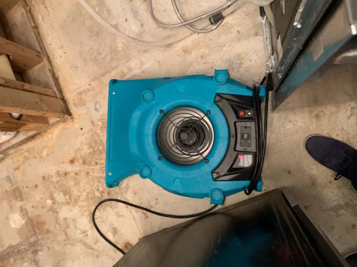 Air mover drying equipment for Mold Remediation & Removal in Bell Gardens